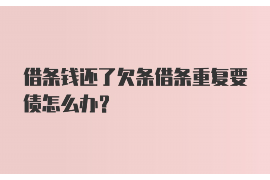 盐都为什么选择专业追讨公司来处理您的债务纠纷？